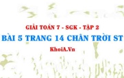 Bài 5 trang 14 Toán 7 Chân trời sáng tạo Tập 2